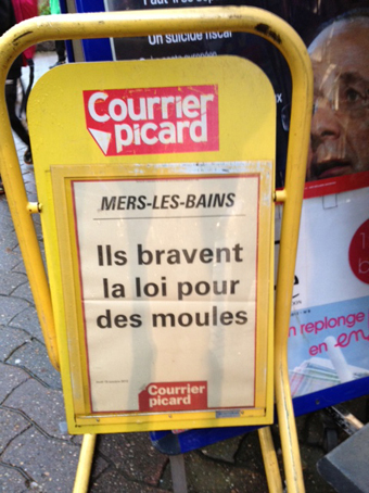 Ils bravent la loi